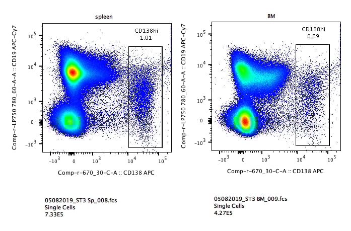 aちゃん　cd3枚 Good Alternative to Stained Mouse CD138 | Biocompare
